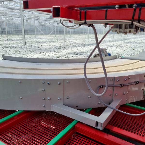 Curved conveyor in the flower industry